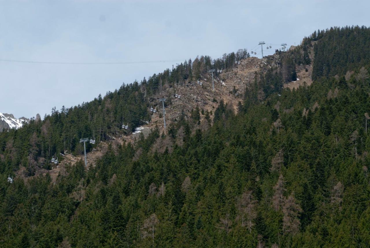 Front Ski Slope Chamonix Apartment Eksteriør bilde